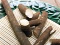 burdock
